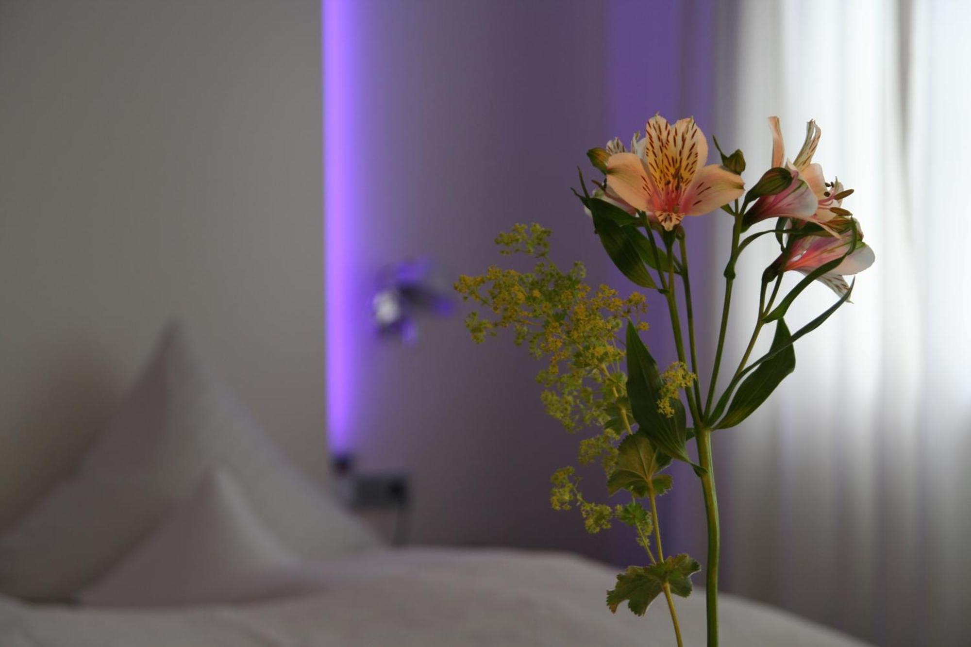 Hotel Am Main Veitshöchheim Δωμάτιο φωτογραφία